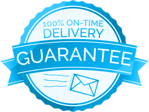 timely delivery icon