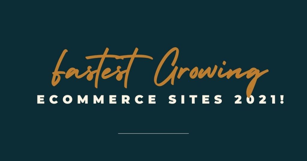 Fastest Growing Ecommerce Businesses in United States